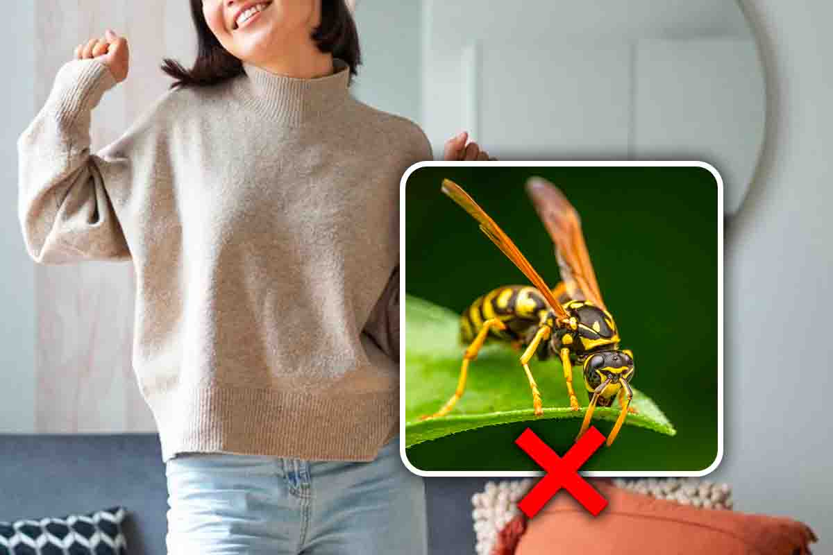 Come tenere lontane le vespe da casa