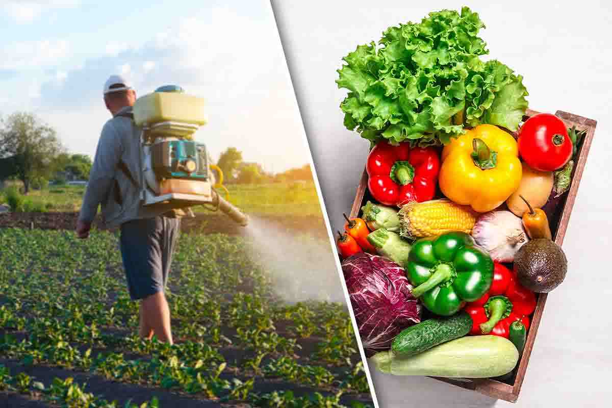 Pesticidi frutta verdura