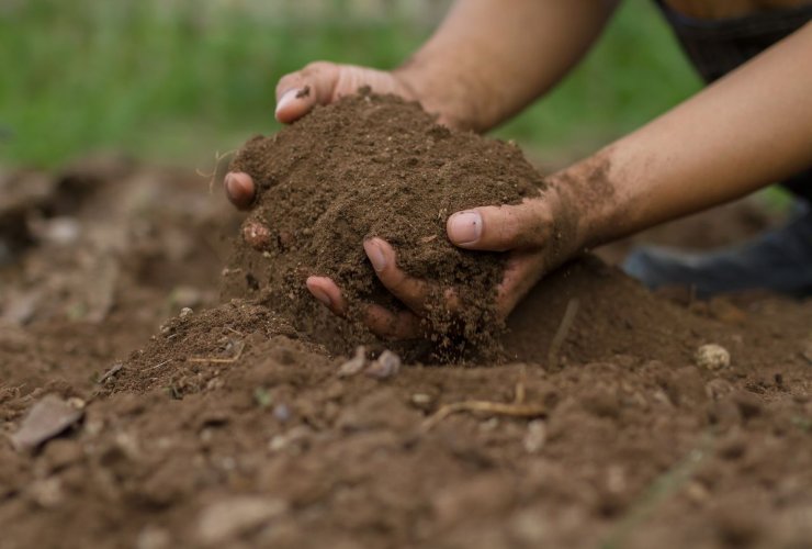 Come preparare il terreno per la semina