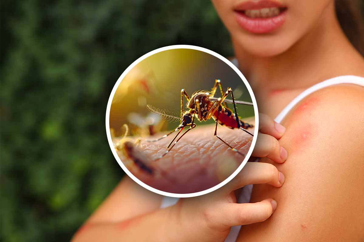 Metodo infallibile per allontanare le zanzare