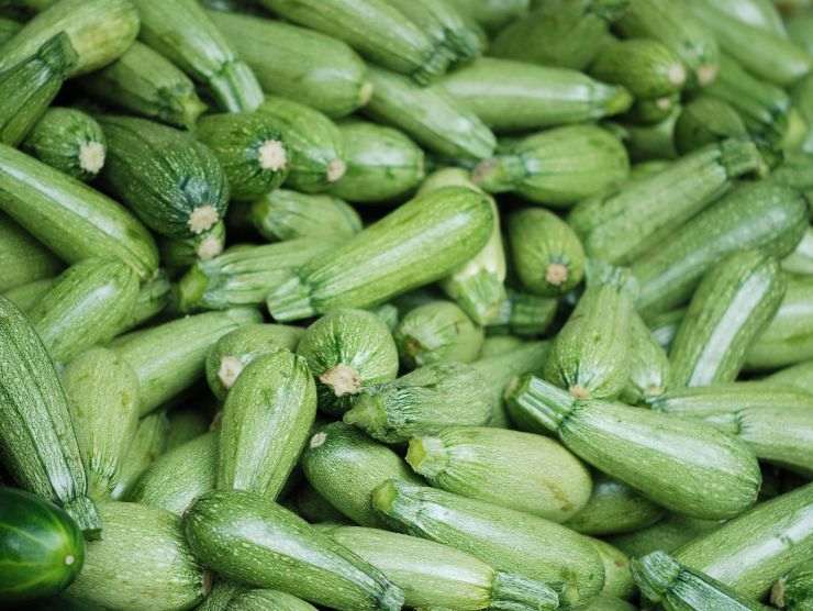 Zucchine, alimento sottovalutato