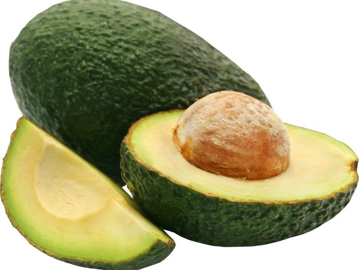 nocciolo avocado piante