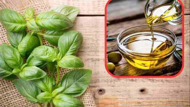 unire basilico e olio d'oliva