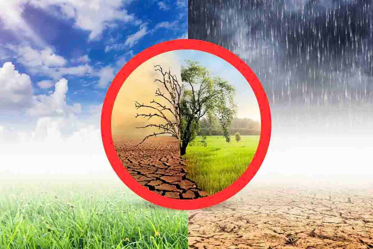 il cambiamento climatico sarà un crimine contro l'umanità