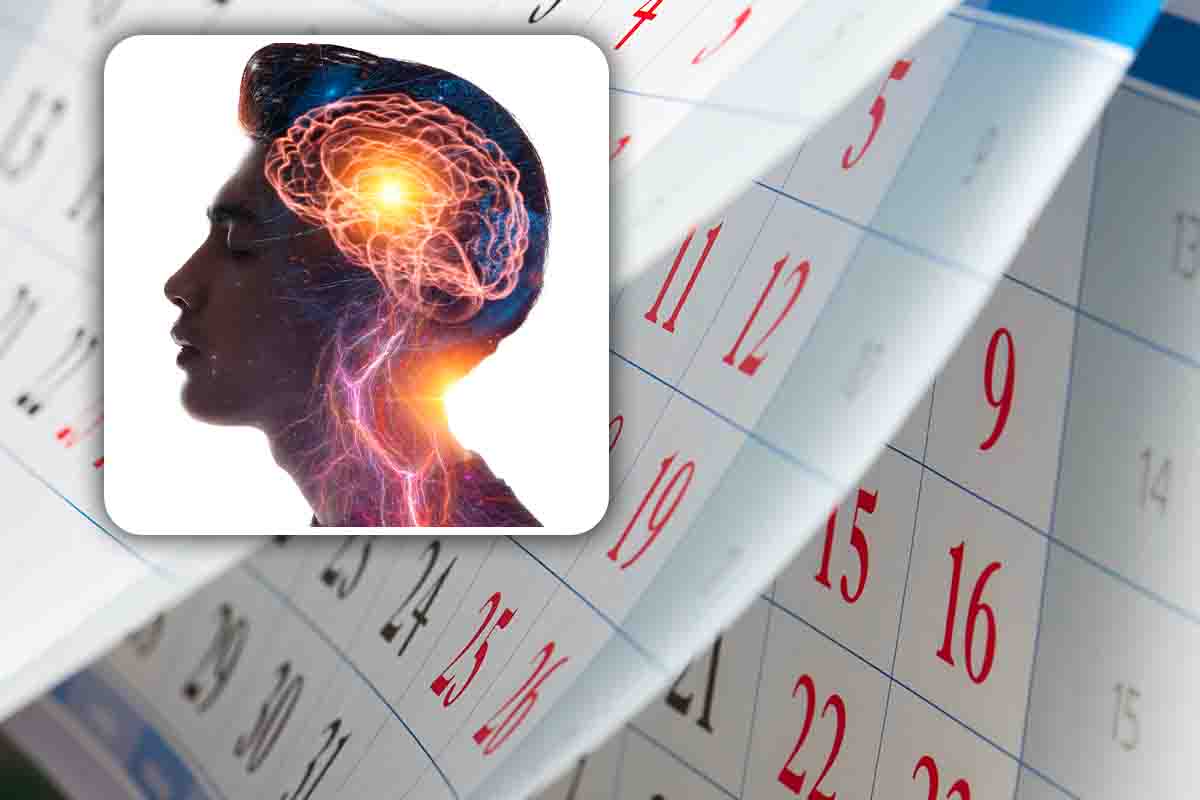 cervello più attivo e ringiovanito in soli sei mesi cosa fare