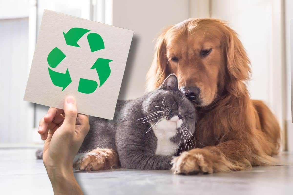 come fare una cuccia per animali riciclata