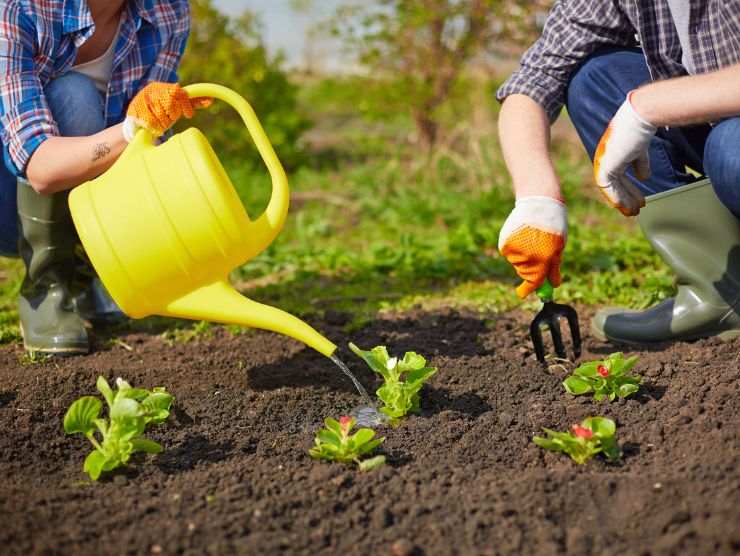 4 strumenti cura giardino