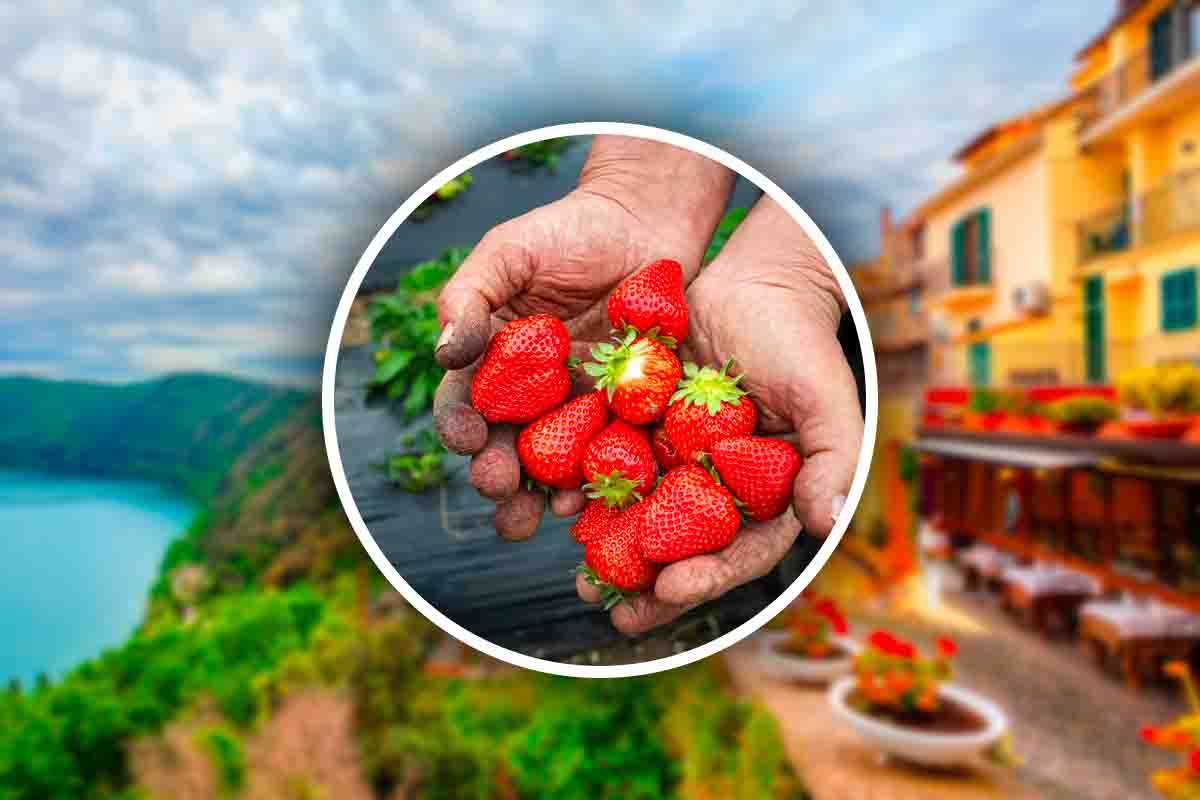 borgo pieno di fiori fragola dove