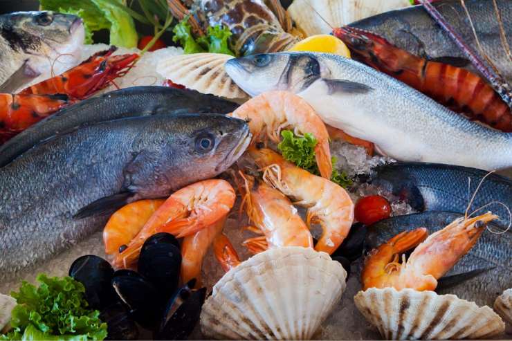 Alimento microplastiche: quale fare attenzione