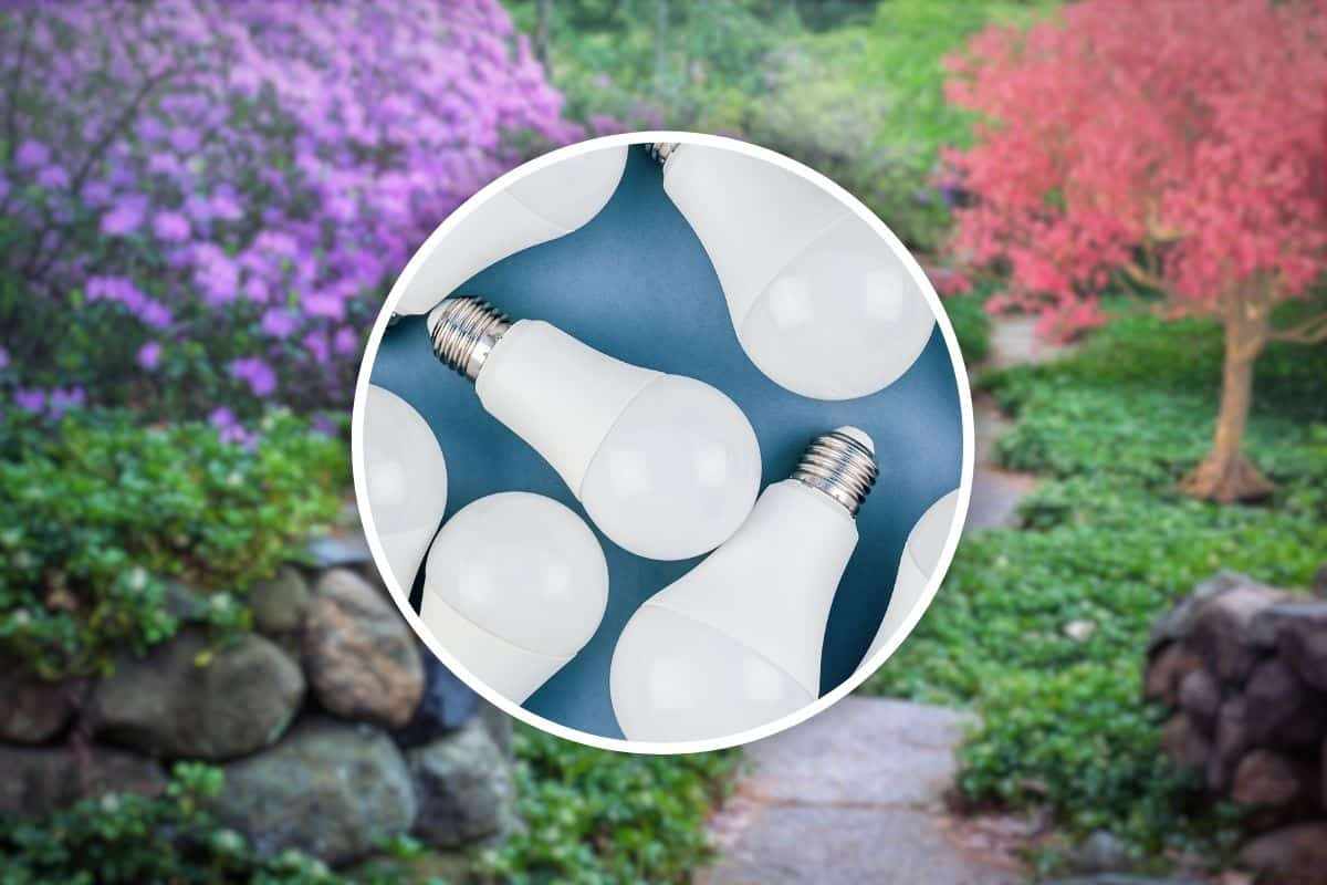 giardino fiaba lampadine