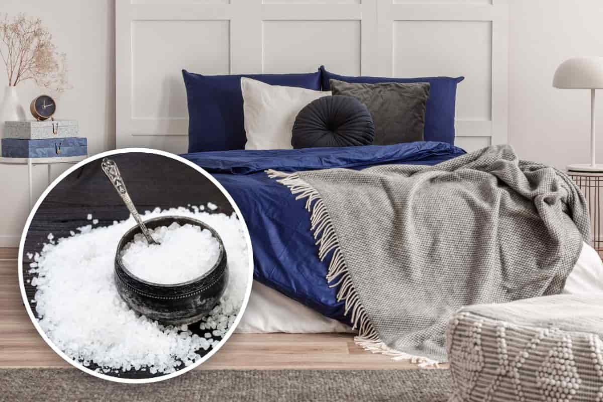 Letto sale rimedio per dormire