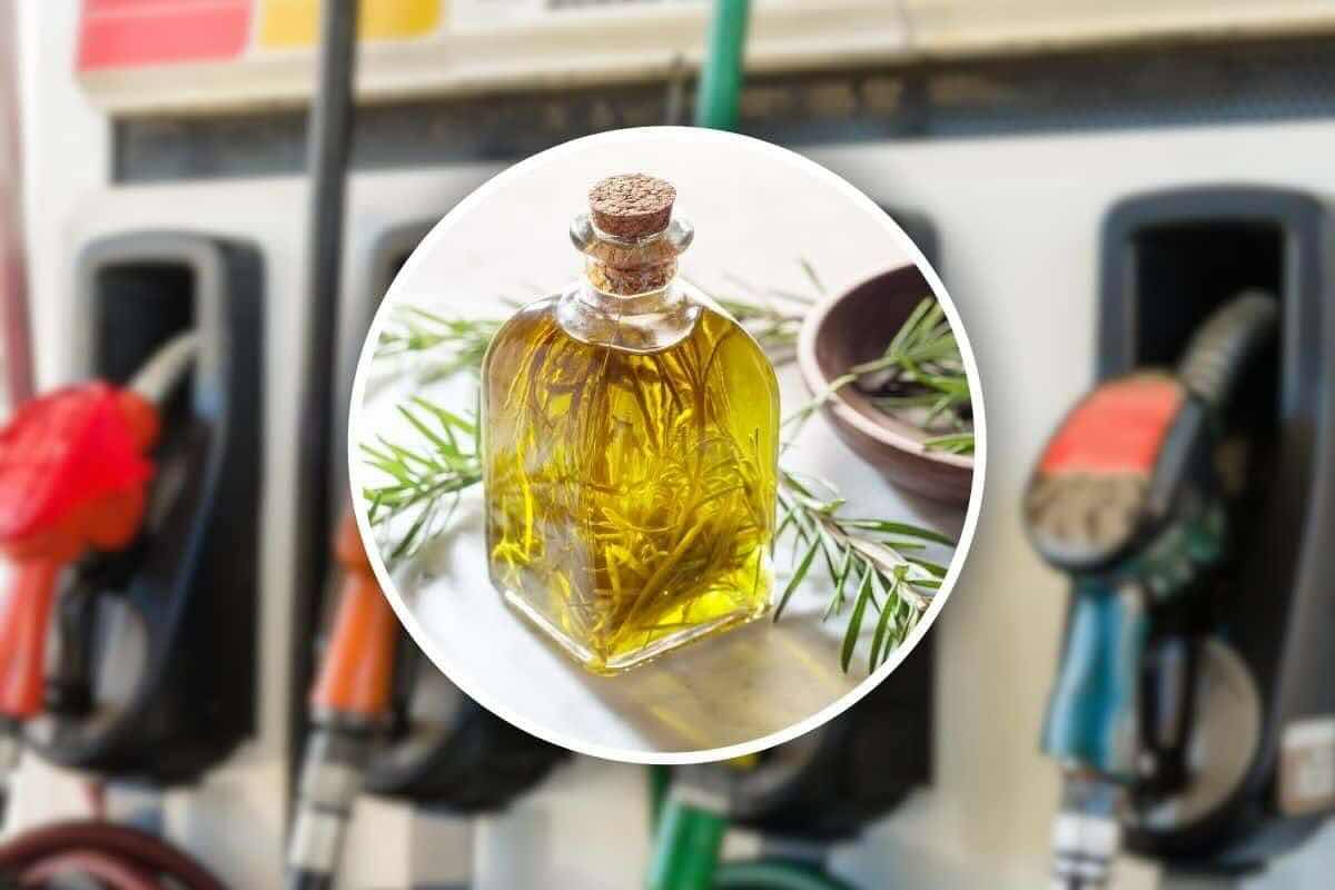 olio da cucina come carburante