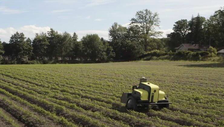 robot che protegge le piante