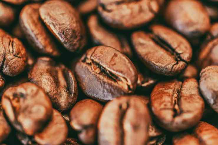 riutilizzare gli scarti di caffè