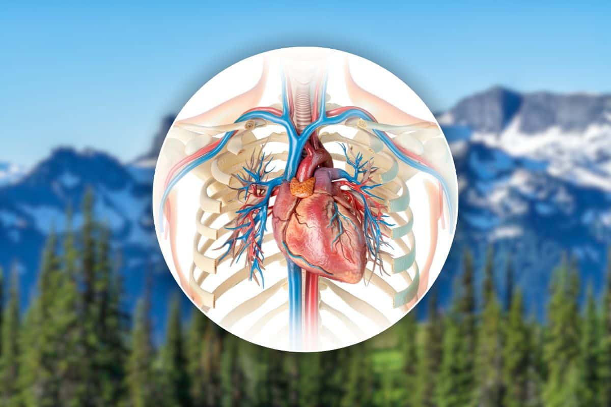 montagna e malattie cardiache