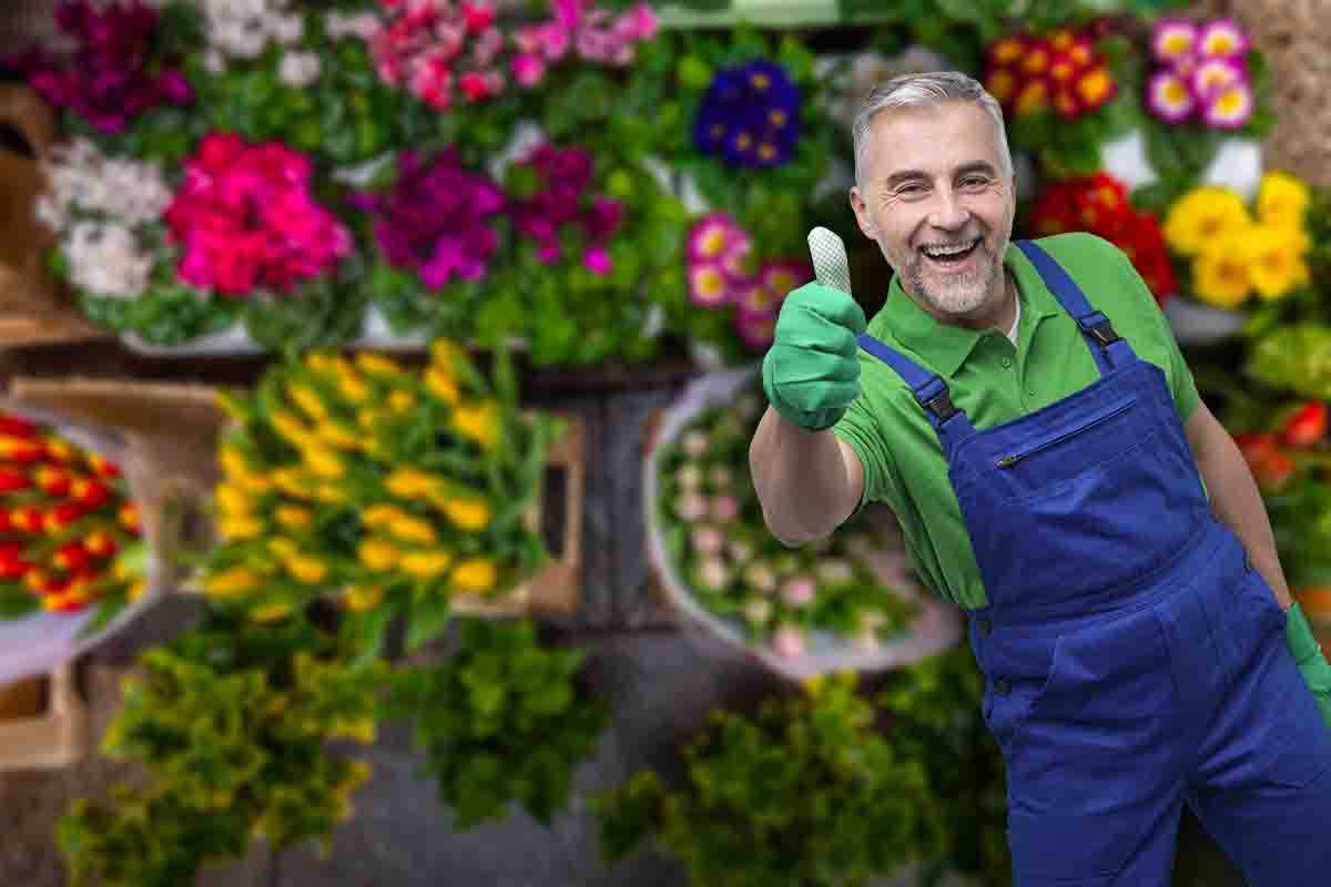 crescono in fretta: piante per principianti