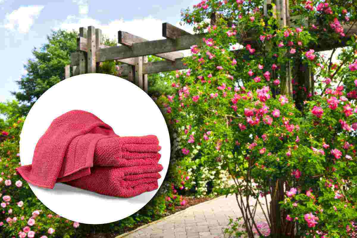 Giardino in ordine con asciugamani