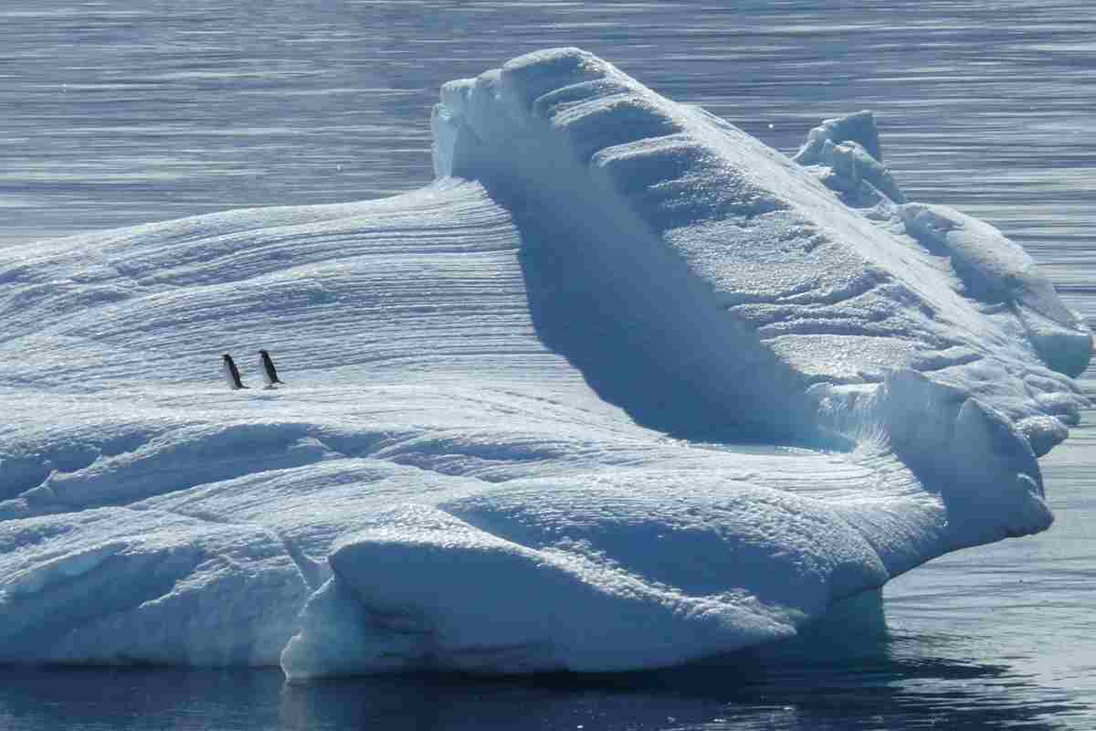 Allarme per la Terra