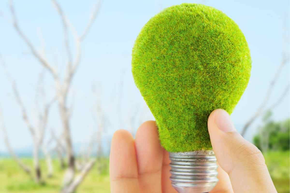 Dichiarazione dei redditi e fotovoltaico