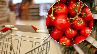 Come riconoscere se i pomodori del supermercato sono di buona qualità