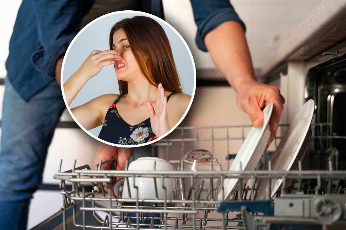Come eliminare la puzza della lavastoviglie