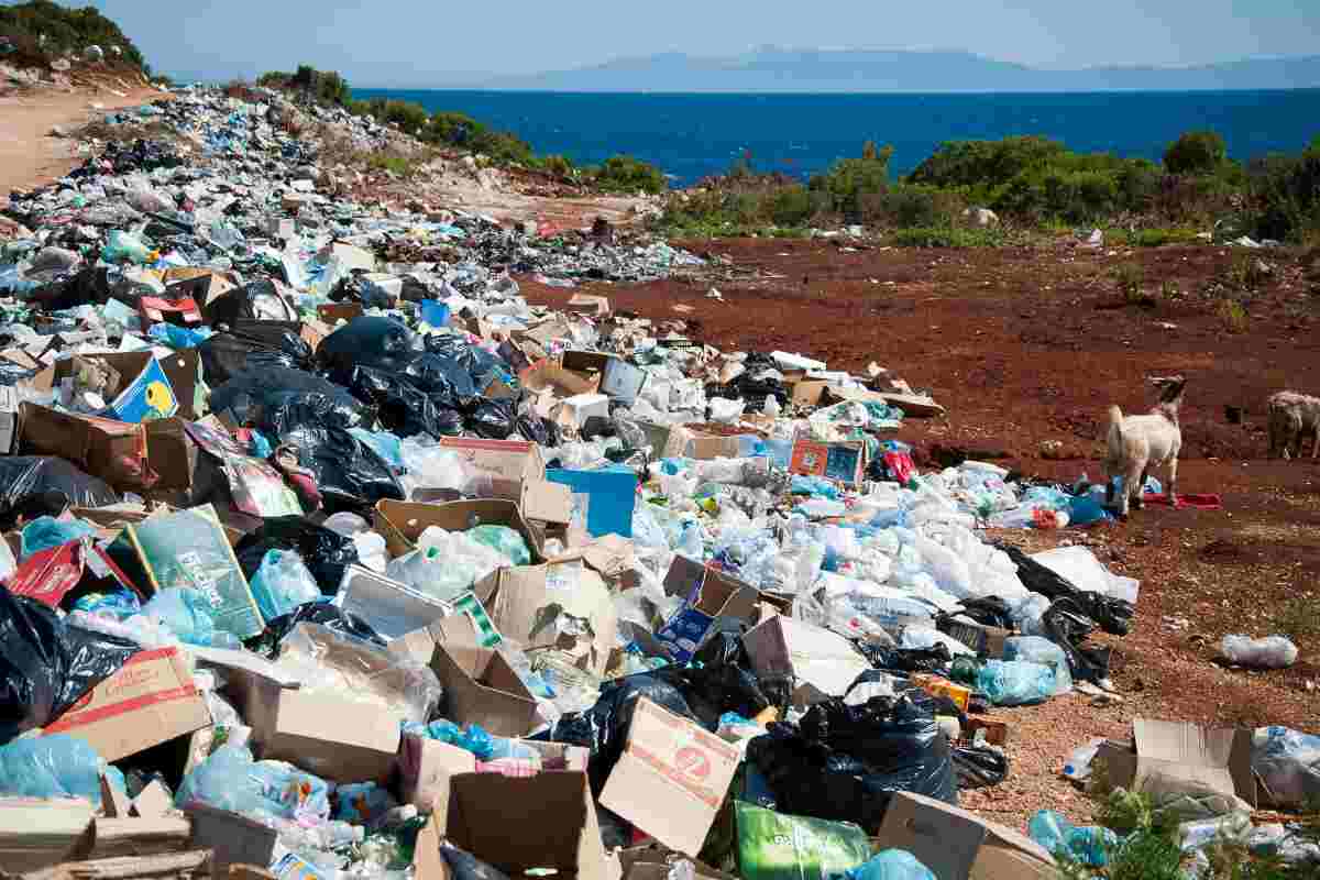 Perché esiste un bar con discarica?