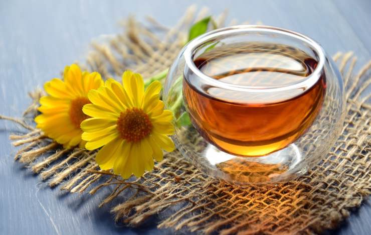 Tisane per pulire il corpo