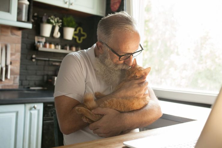 Come ottenere il bonus per animali domestici