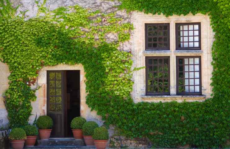 come funziona il cappotto verde