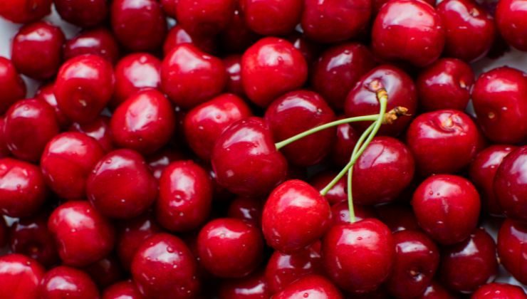Noccioli ciliegie contiene cianuro