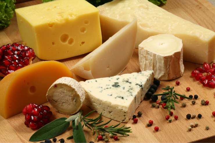 Formaggio muffa: come conservarlo