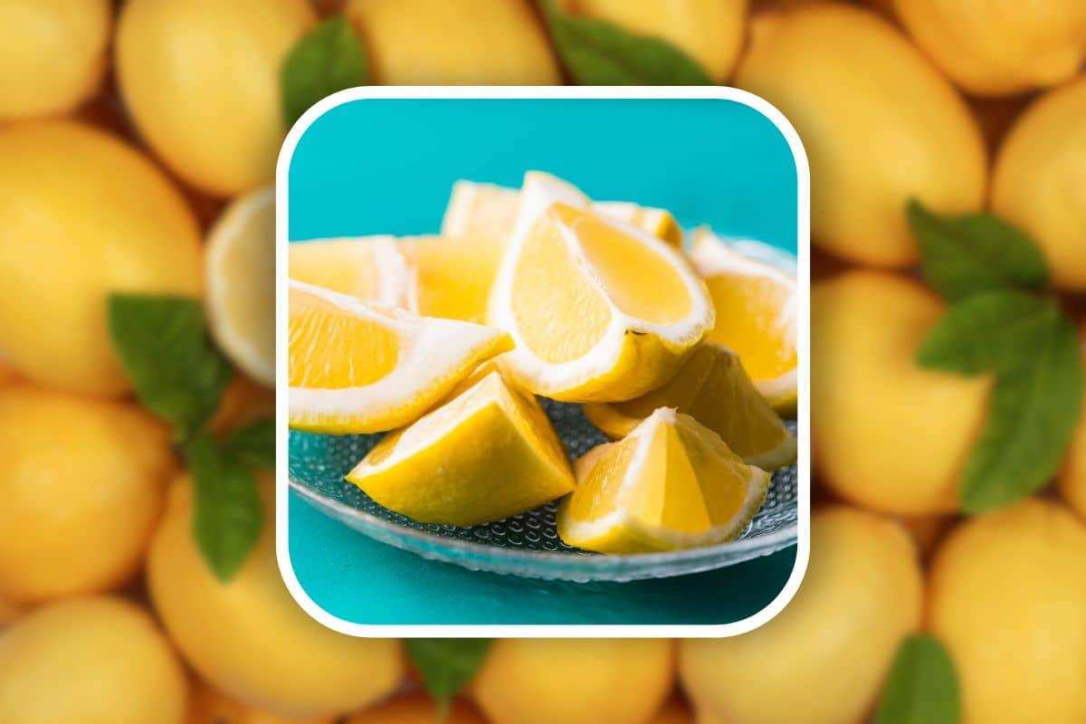 ricetta insalata di limoni