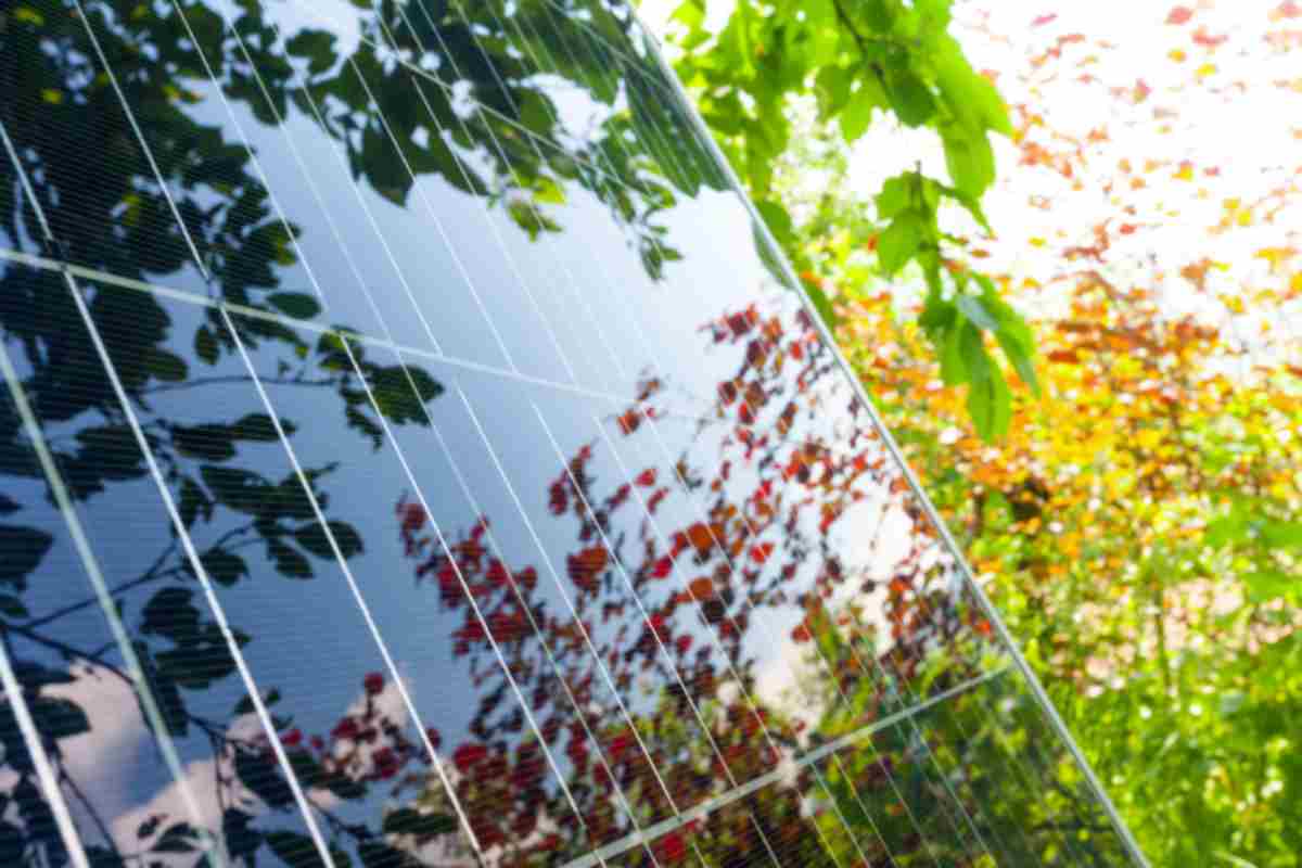 pannelli fotovoltaici senza batteria