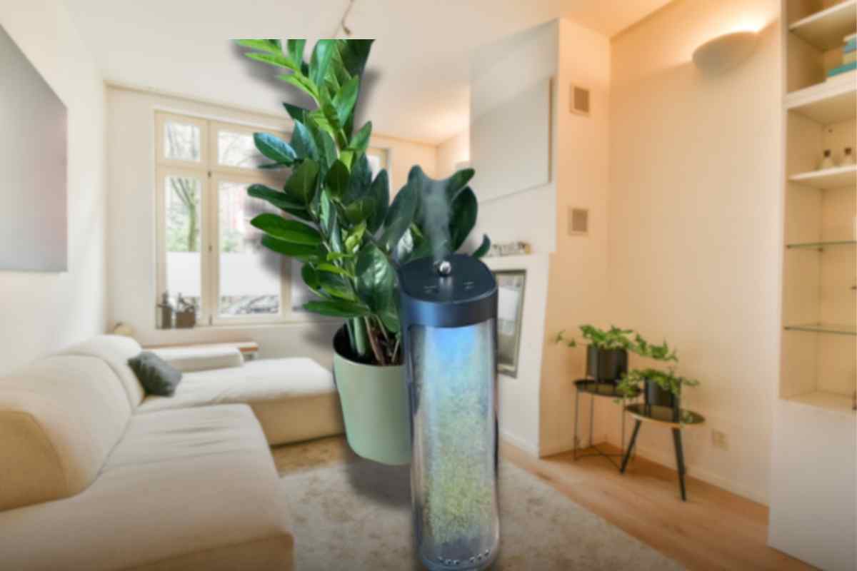 Questo gadget è perfetto per casa vostra
