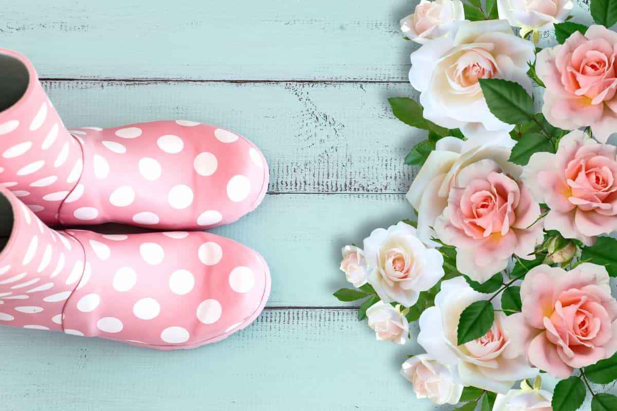 ¿Zapatos viejos que ya no usas?  ¡Conviértelos en hermosas macetas para tus plantas!  Solo hazlo así