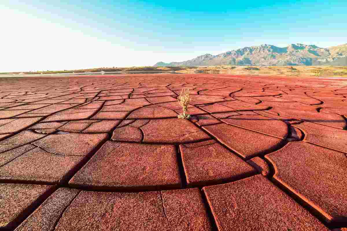 Coltivare nel deserto ora è possibile
