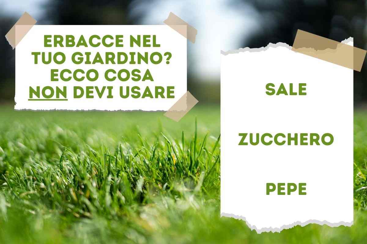 giardino perfetto con prodotti naturali