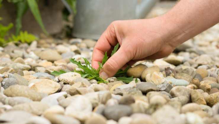 consigli per godere di un giardino perfetto