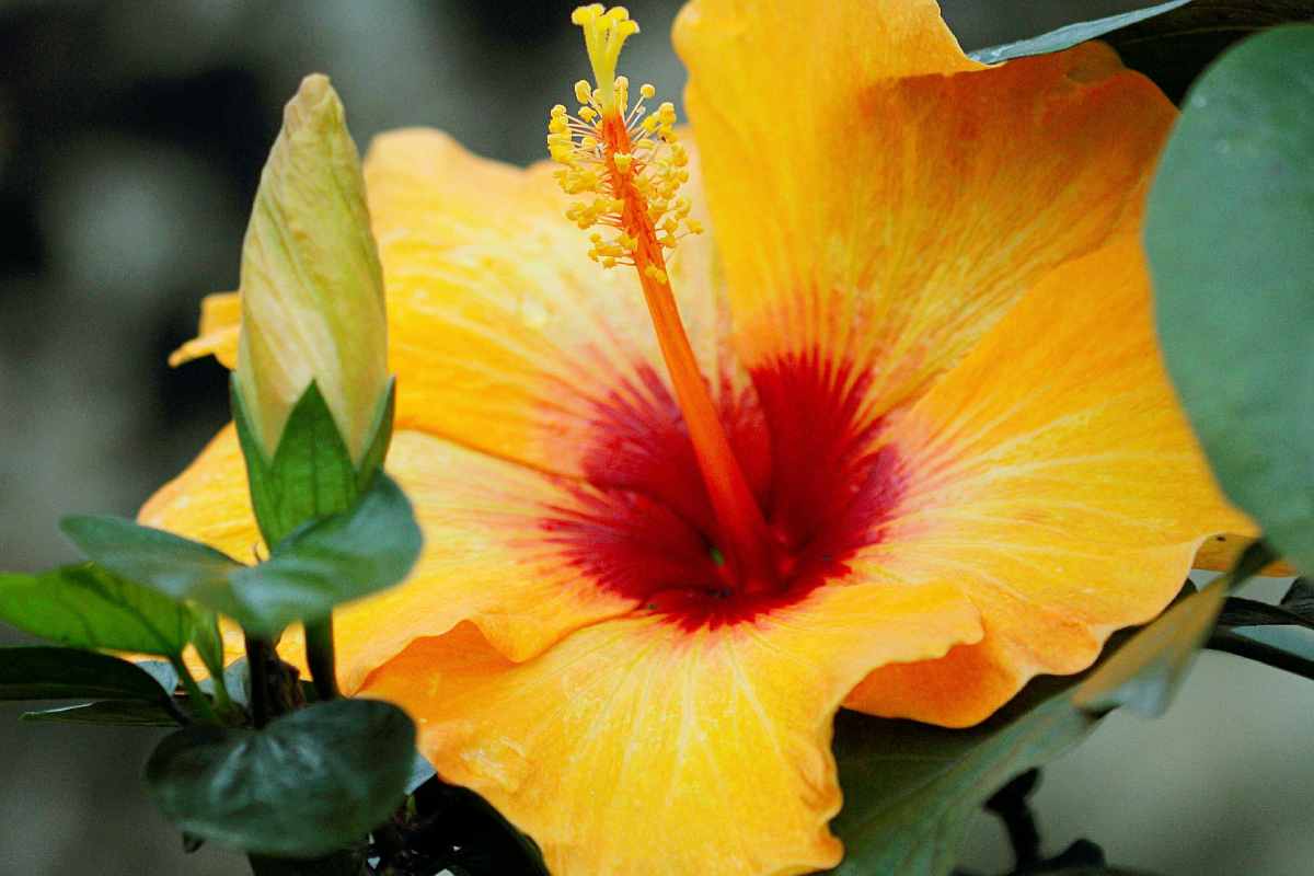 come gestire il balcone se fa caldo
