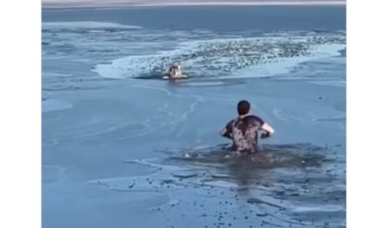 l'atto d'amore di un uomo che ha salvato un cane in un lago
