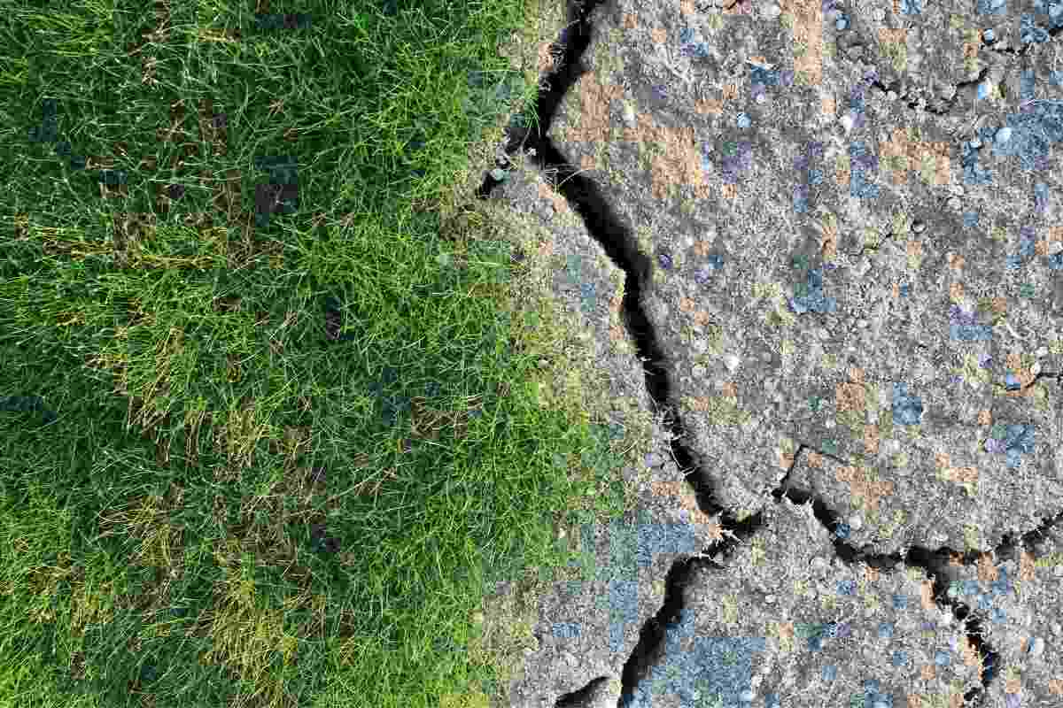 Come coltivare nelle zone più aride del mondo