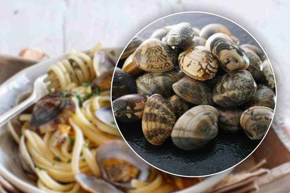 i tipi di vongole più conosciuti