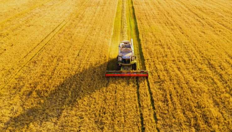 Agricoltura come fare?