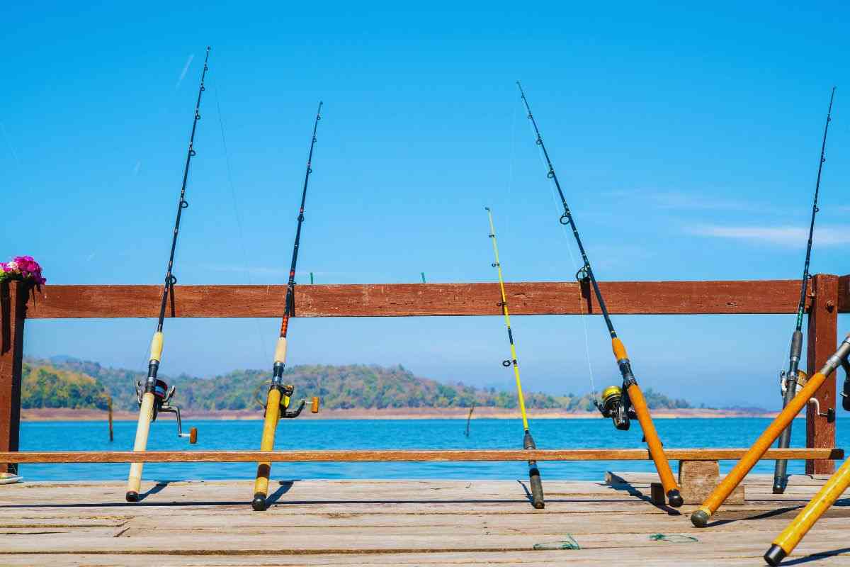 Pesca sostenibile