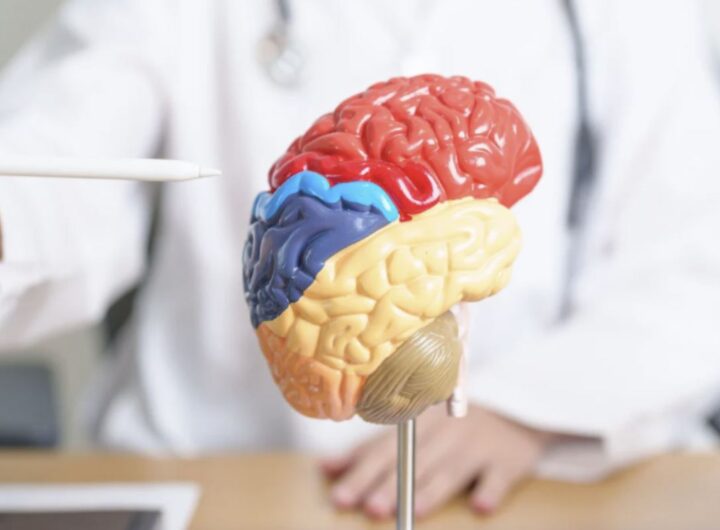 Il tumore del cervello rappresenta una delle sfide più complesse per la medicina moderna. La sua incidenza è in crescente aumento