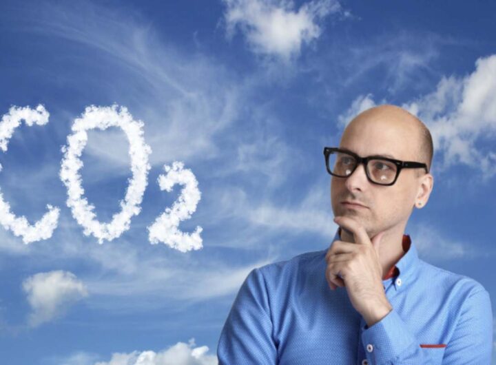 Ti sei mai chiesto se l’anidride carbonica, uno dei principali responsabili del cambiamento climatico