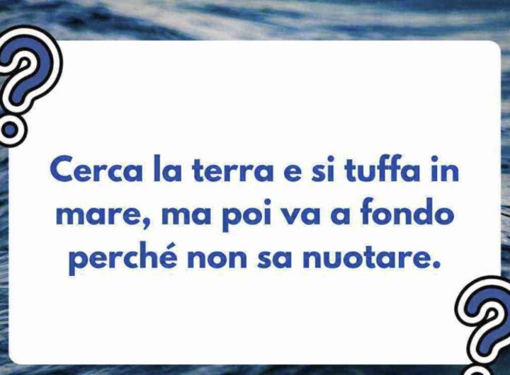 Gli indovinelli sono un modo eccellente per allenare la nostra mente e sviluppare abilità come il pensiero critico e la risoluzione dei problemi.