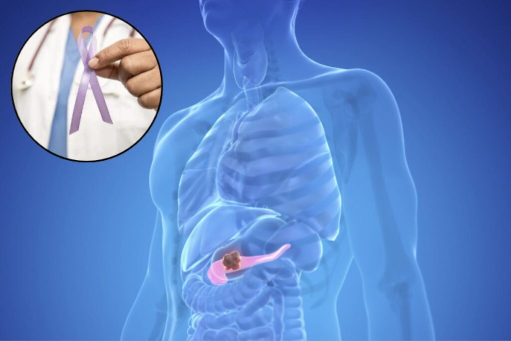 Il pancreas è una ghiandola fondamentale per il corpo umano, situata nell'addome, precisamente tra lo stomaco e la colonna vertebrale.