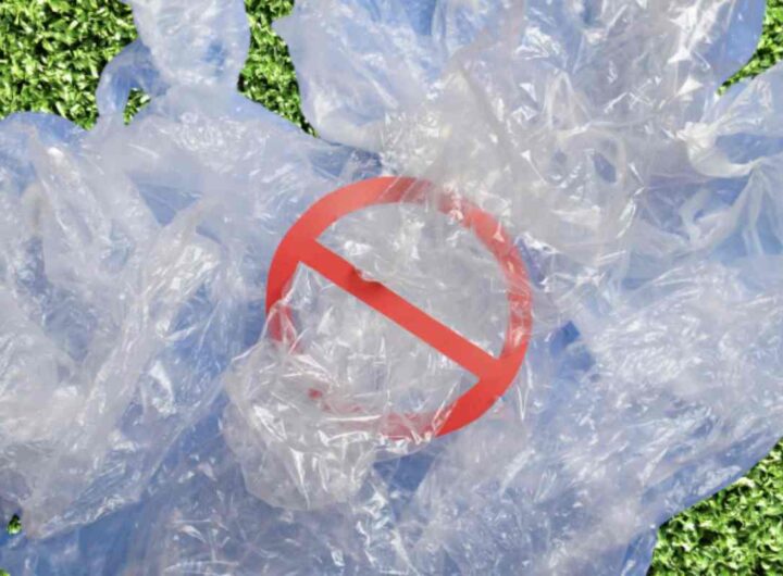 Ogni anno, tonnellate di plastica finiscono nei nostri oceani e nelle discariche, causando danni irreversibili al pianeta.