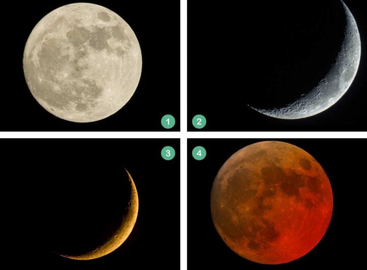 Test personalità con la Luna